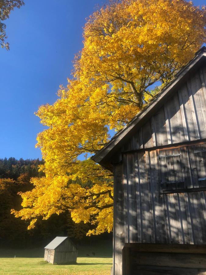 Die Alte Blaa Altaussee Eksteriør billede